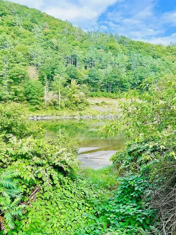 353 Moses Lane Royalton VT 05068