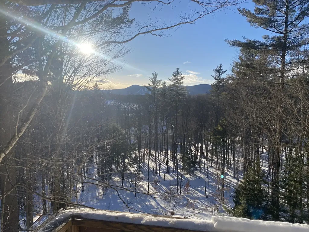 4 Summit Meadows Lane Dover VT 05356