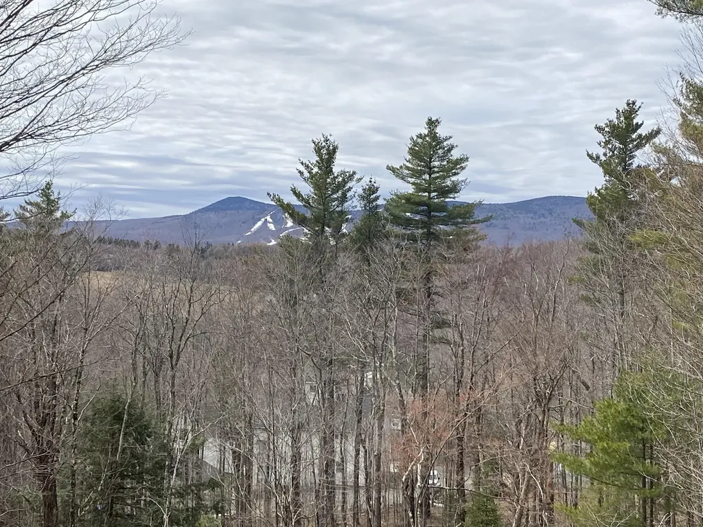 4 Summit Meadows Lane Dover VT 05356