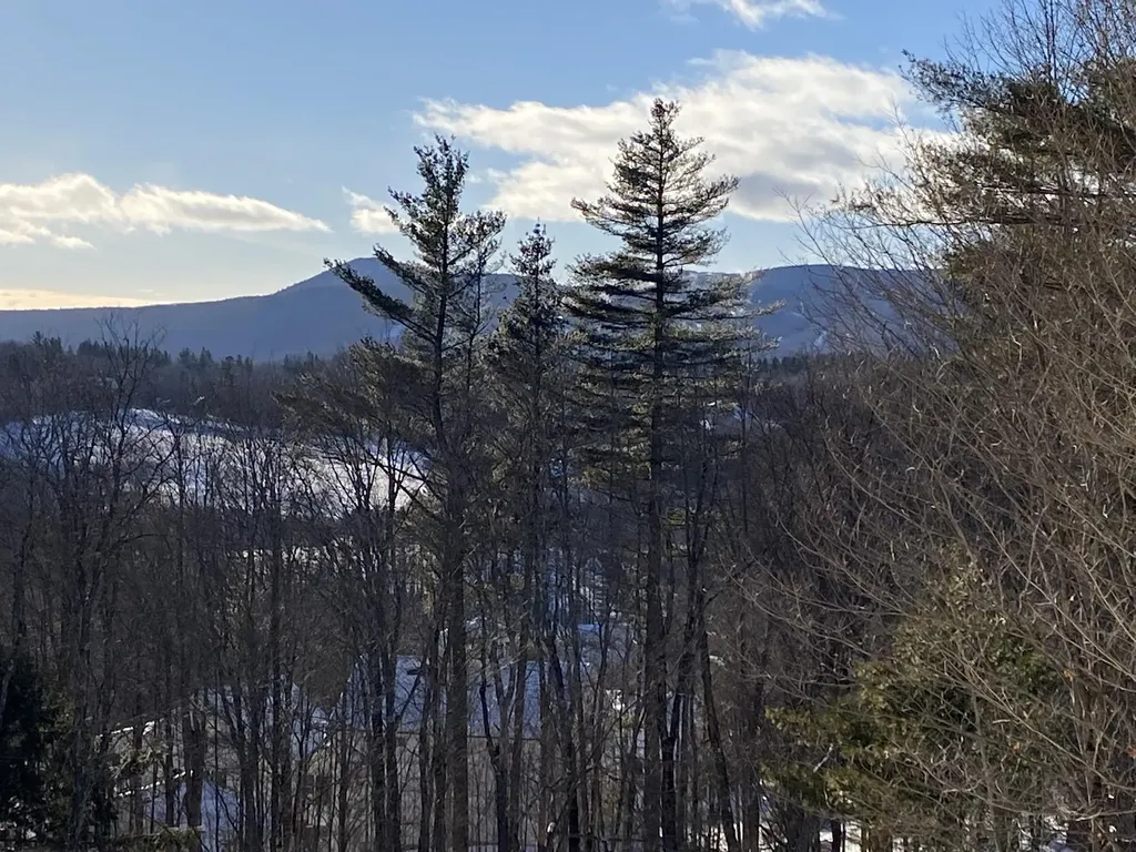 4 Summit Meadows Lane Dover VT 05356