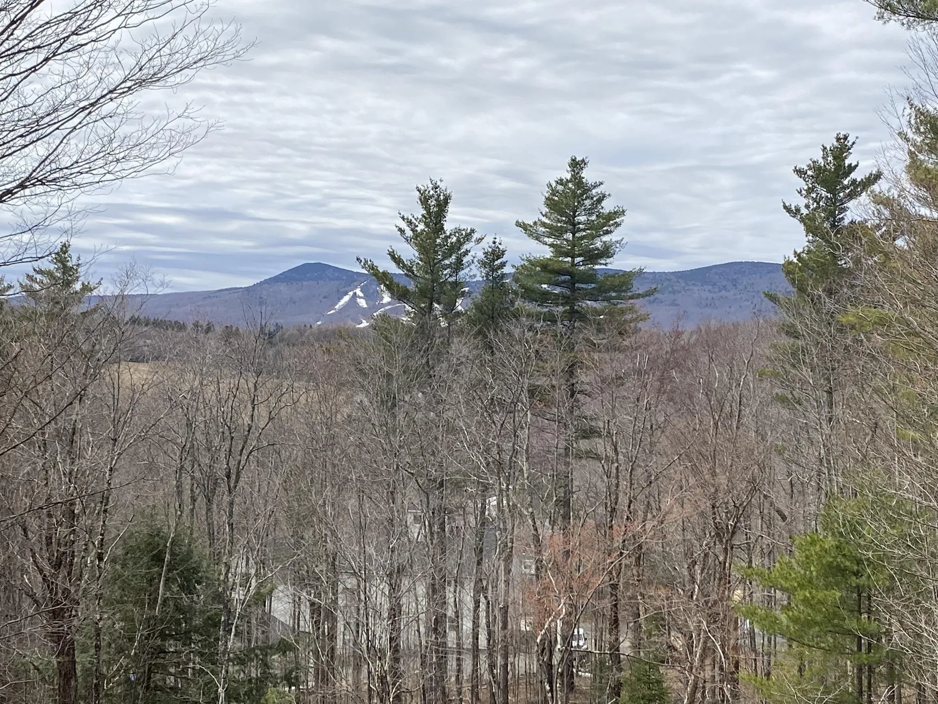 4 Summit Meadows Lane Dover VT 05356