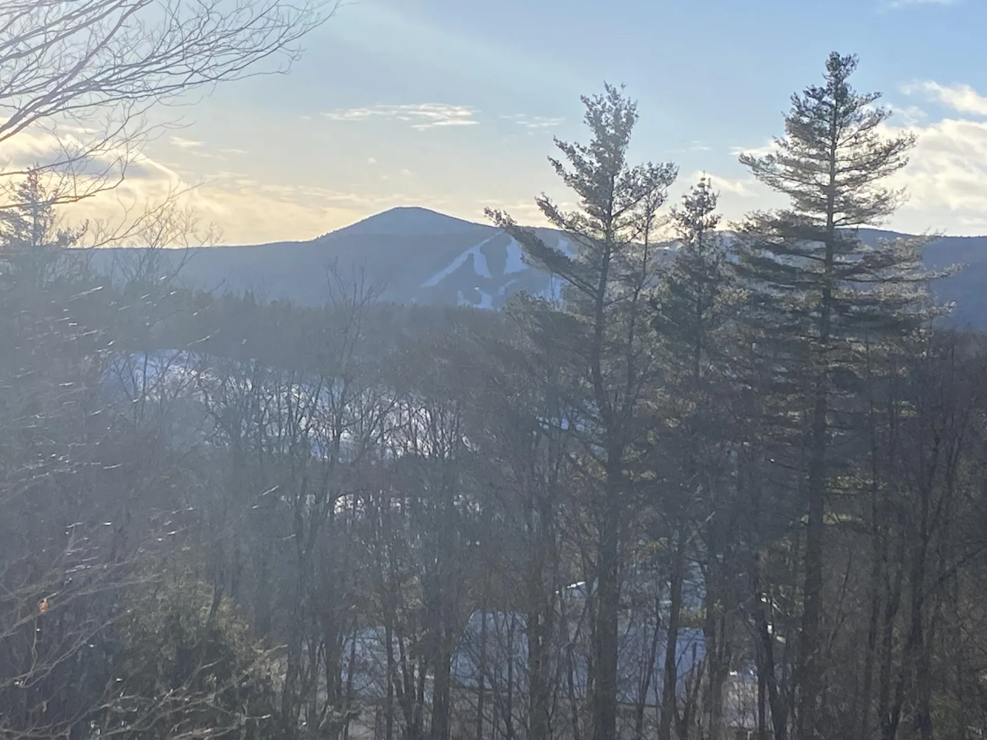 4 Summit Meadows Lane Dover VT 05356