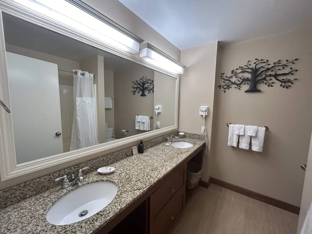 274/76QTR 3 Grand Summit Way Dover VT 05356