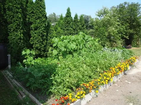 40 Sunrise Drive South Hero VT 05486