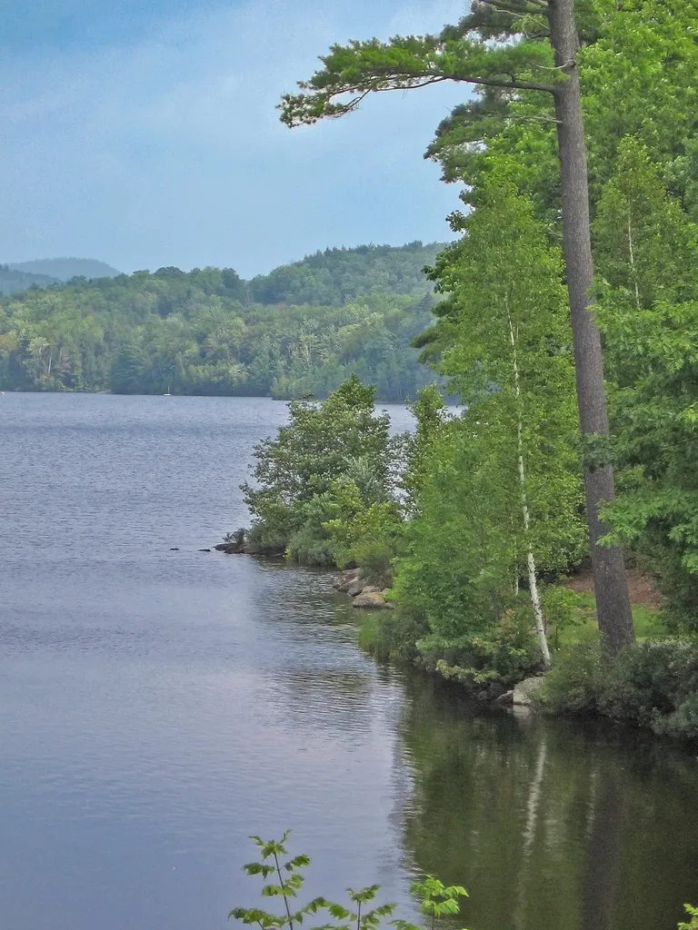 633 Marmot Lane Grantham NH 03753