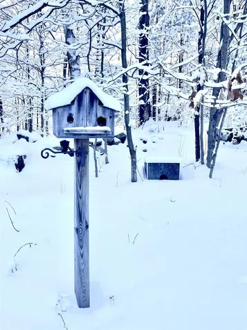 104 Northview Drive Clarendon VT 05759