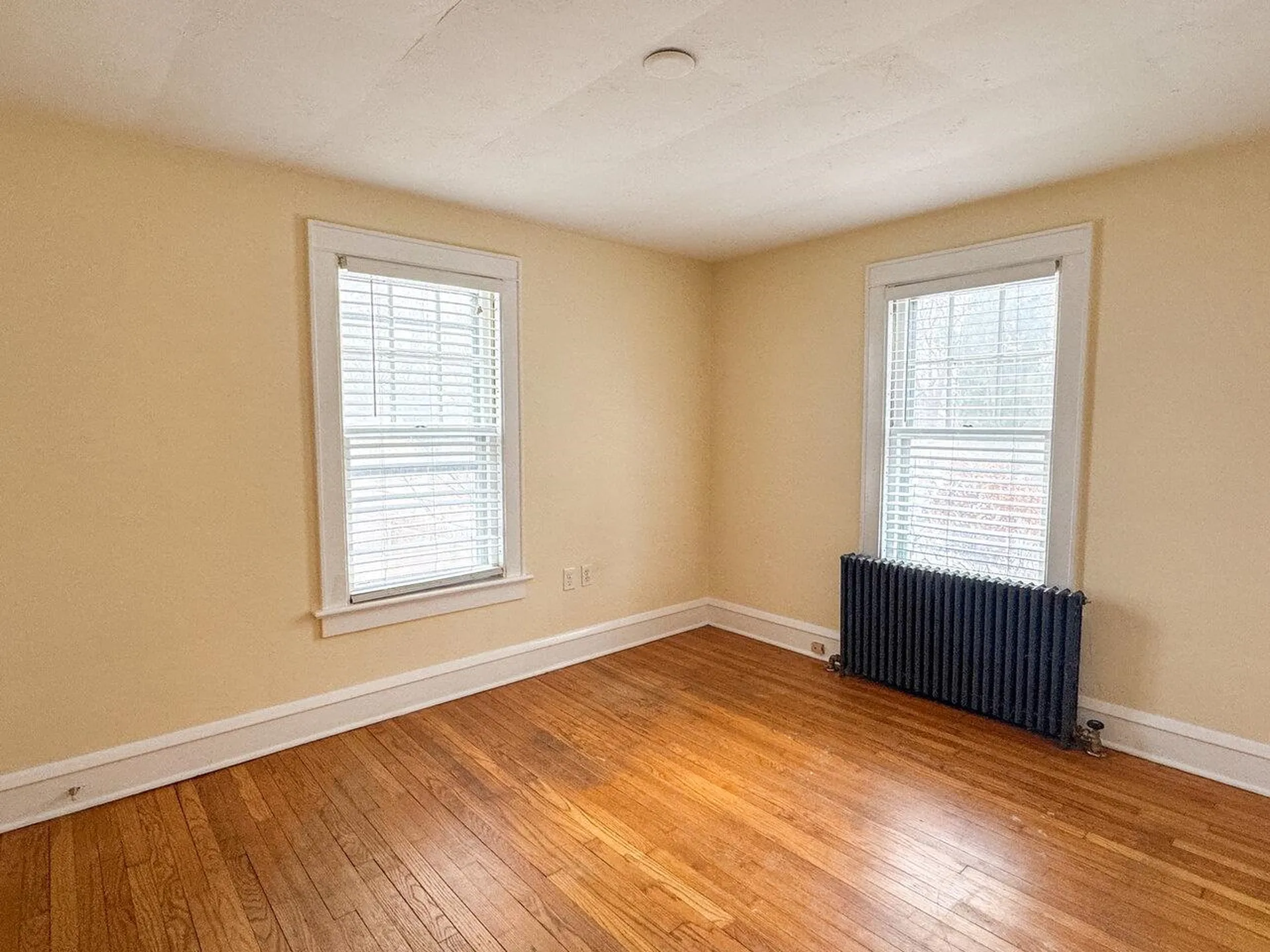 103 Caroline Street Burlington VT 05401