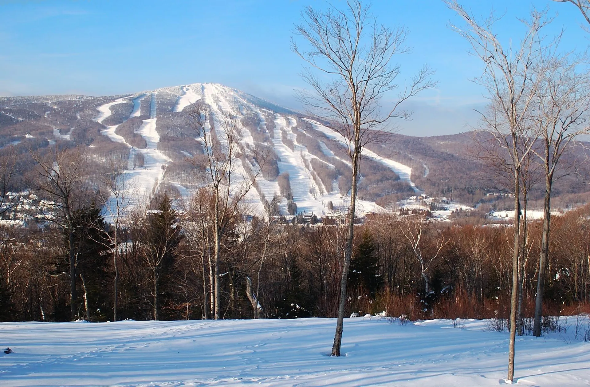 155 Qtr I, 89 Grand Summit Way Dover VT 05356