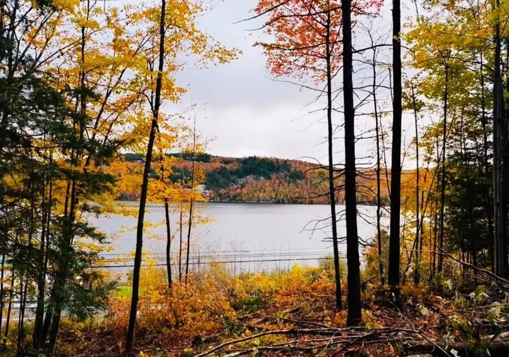 430 Lake Street Barton VT 05822