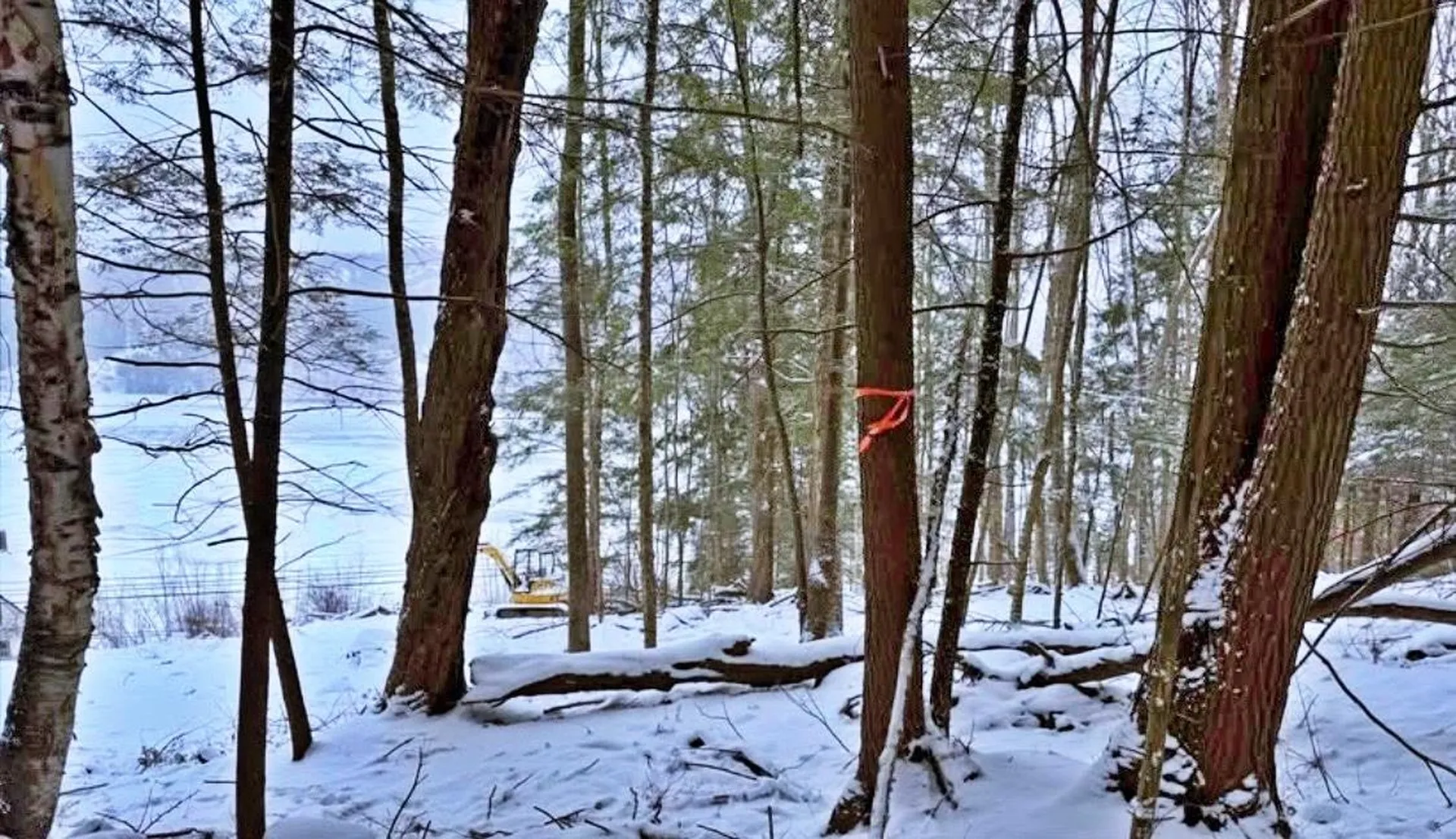 430 Lake Street Barton VT 05822