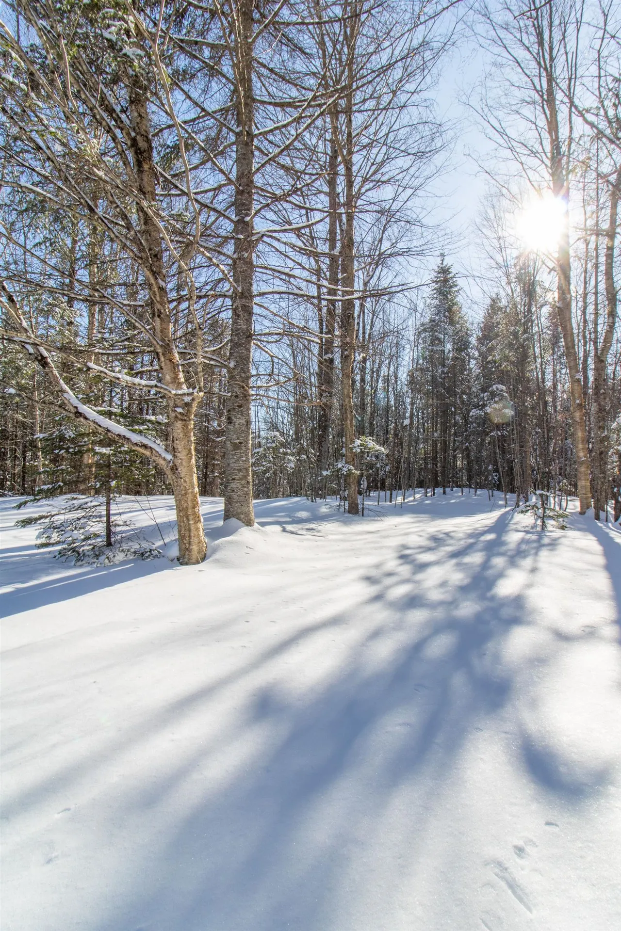 331 Bruce Badger Memorial Highway Danville VT 05828