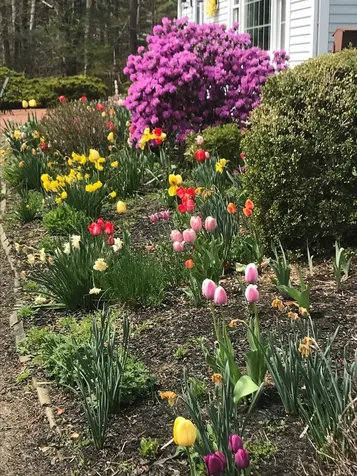 6 Riverview Road Durham NH 03824