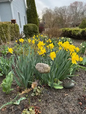 6 Riverview Road Durham NH 03824