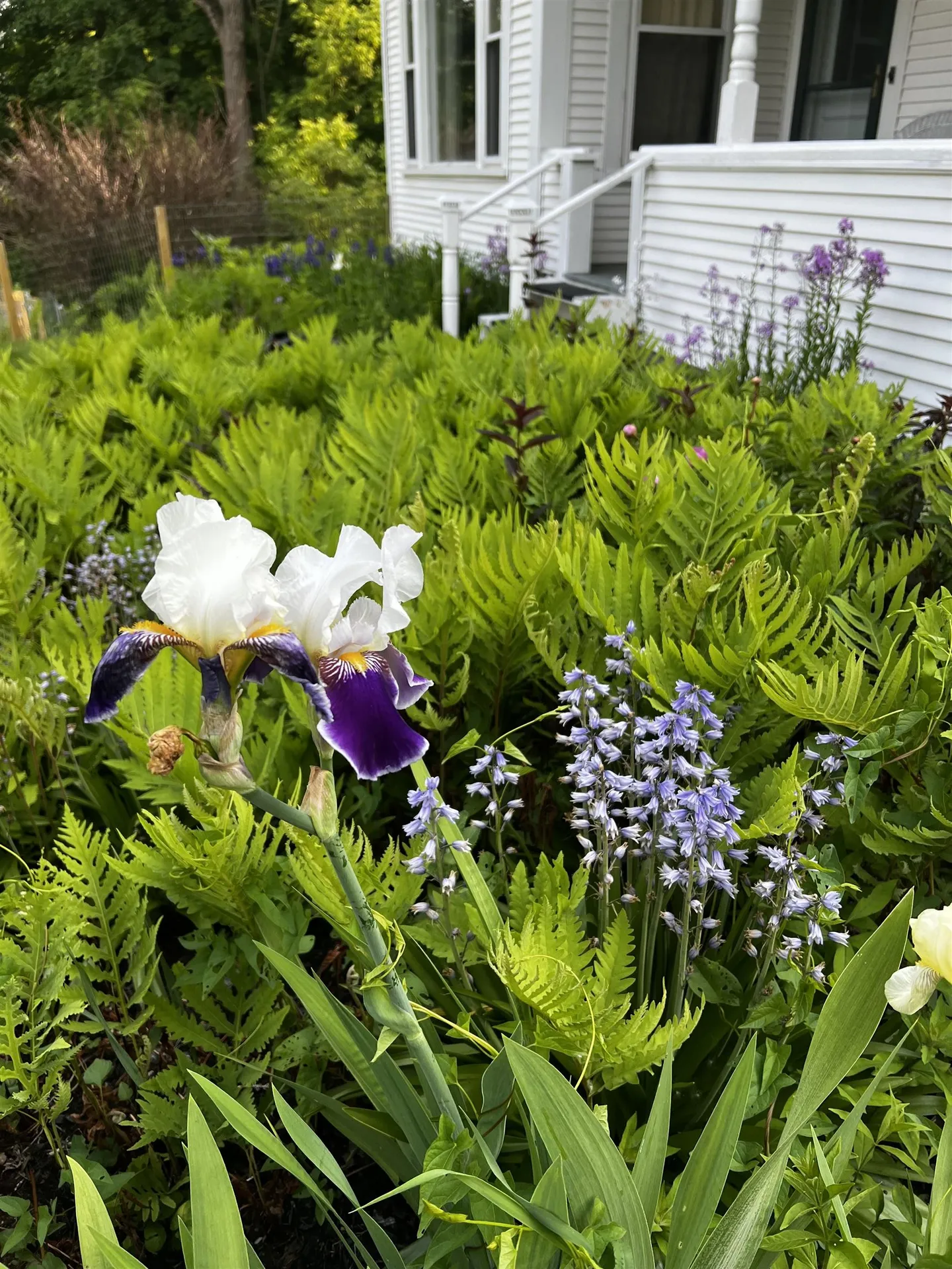 78 Harry Gibbs Street Hartford VT 05047