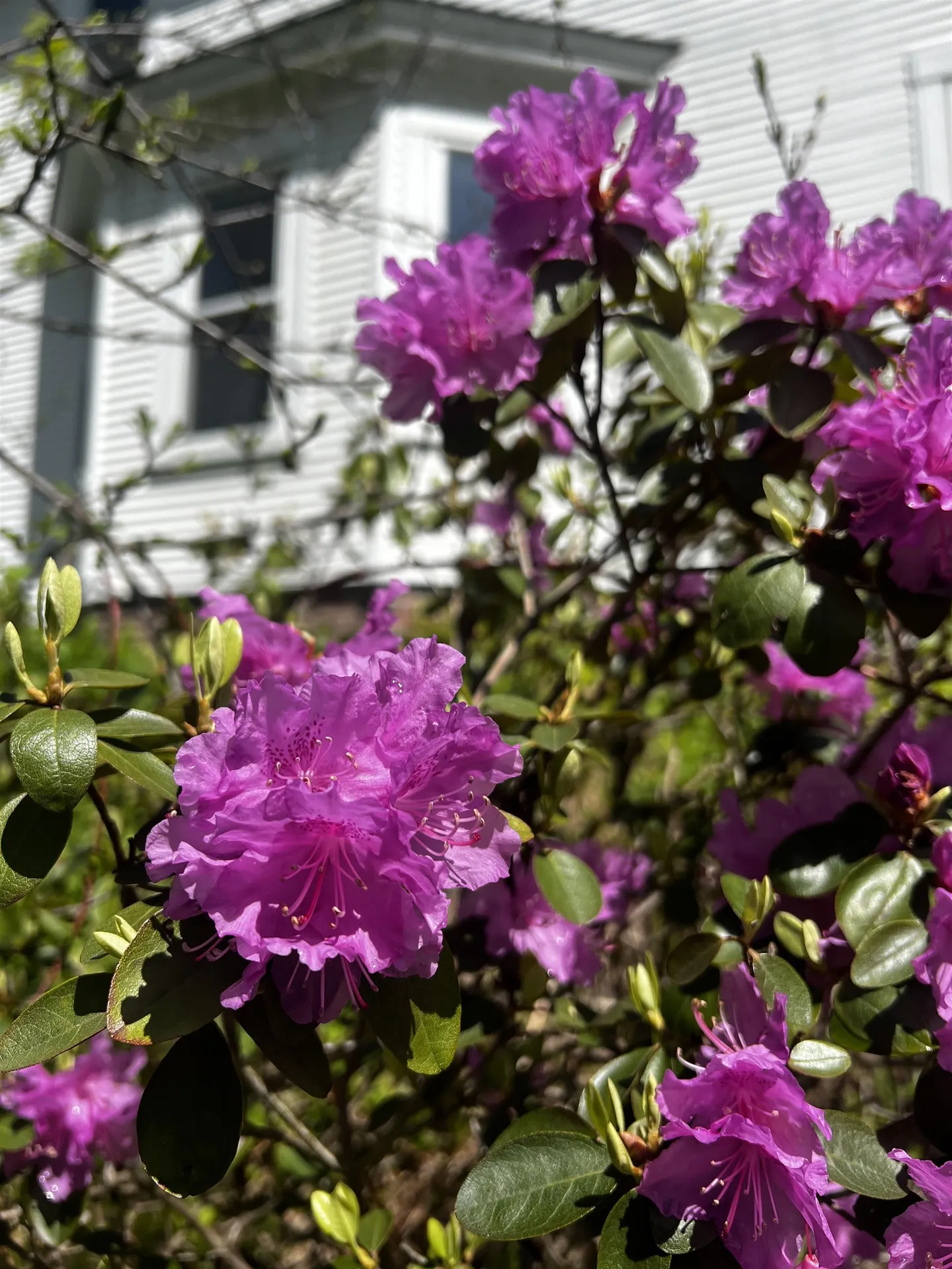 78 Harry Gibbs Street Hartford VT 05047