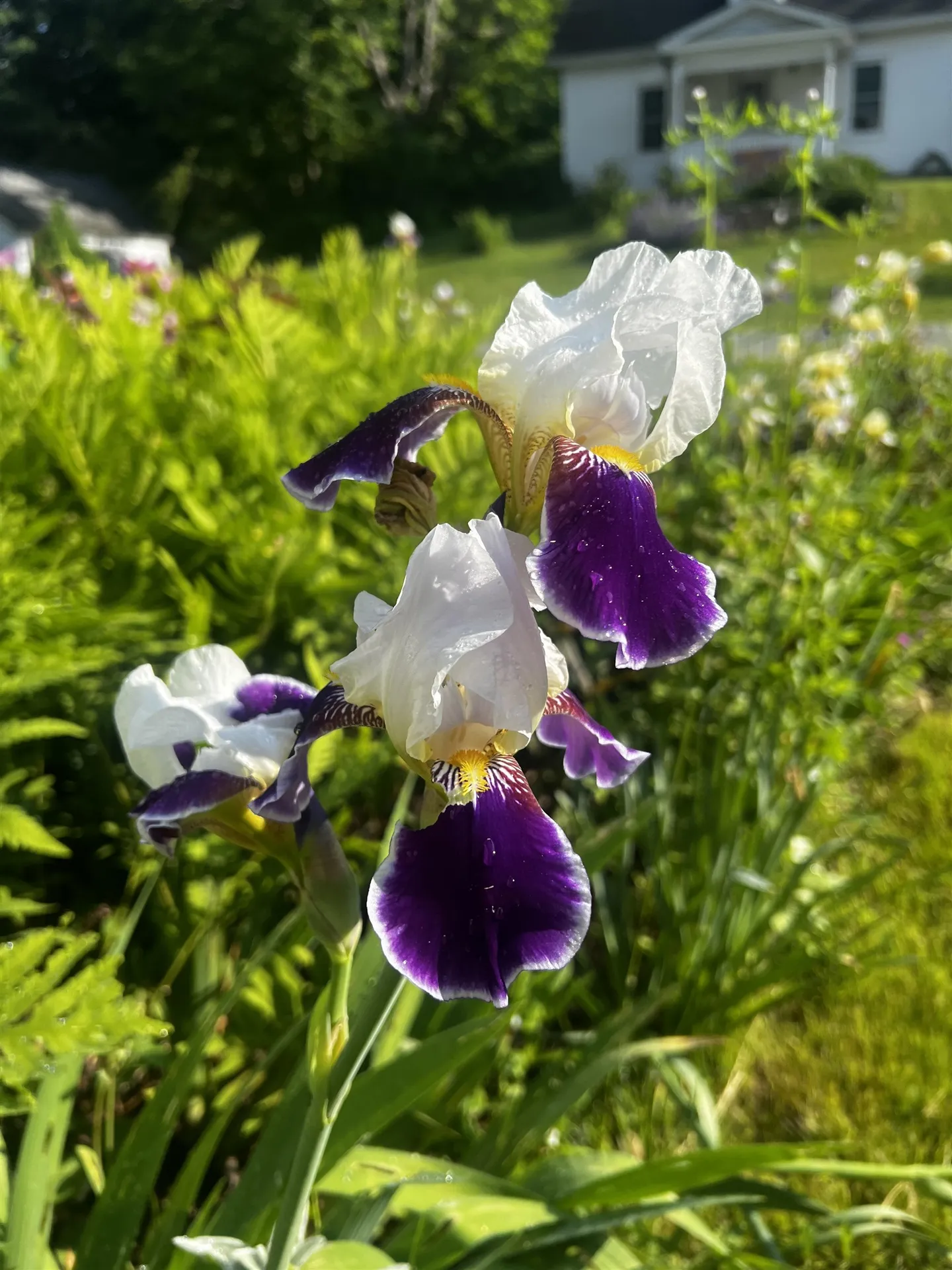 78 Harry Gibbs Street Hartford VT 05047