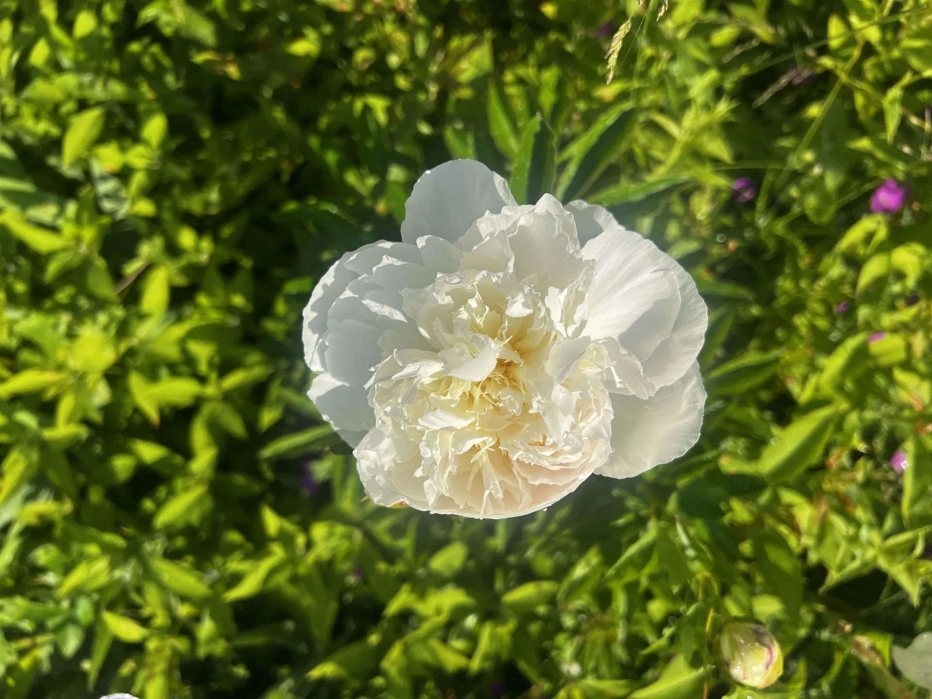 78 Harry Gibbs Street Hartford VT 05047