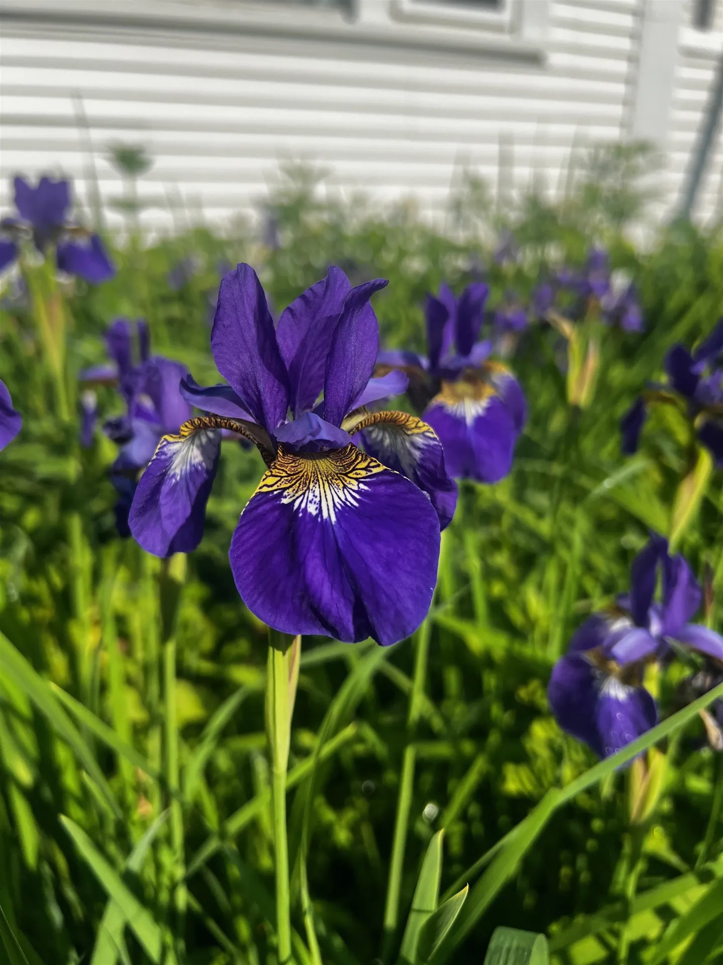 78 Harry Gibbs Street Hartford VT 05047