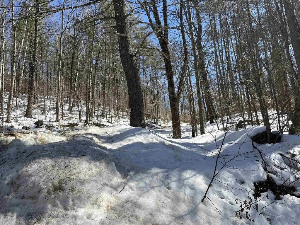Lot 37 David Drive Wakefield NH 03872