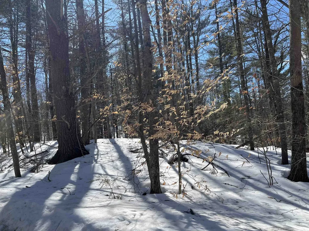 Lot 37 David Drive Wakefield NH 03872