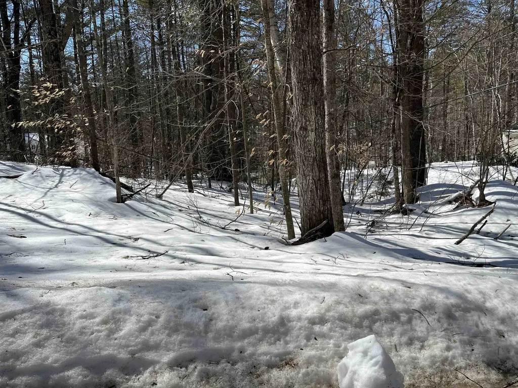 Lot 37 David Drive Wakefield NH 03872
