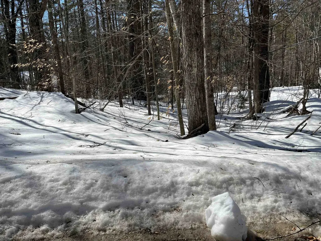 Lot 37 David Drive Wakefield NH 03872