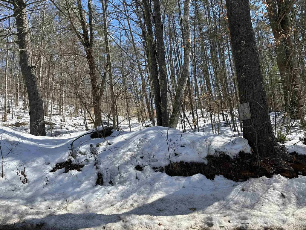 Lot 37 David Drive Wakefield NH 03872