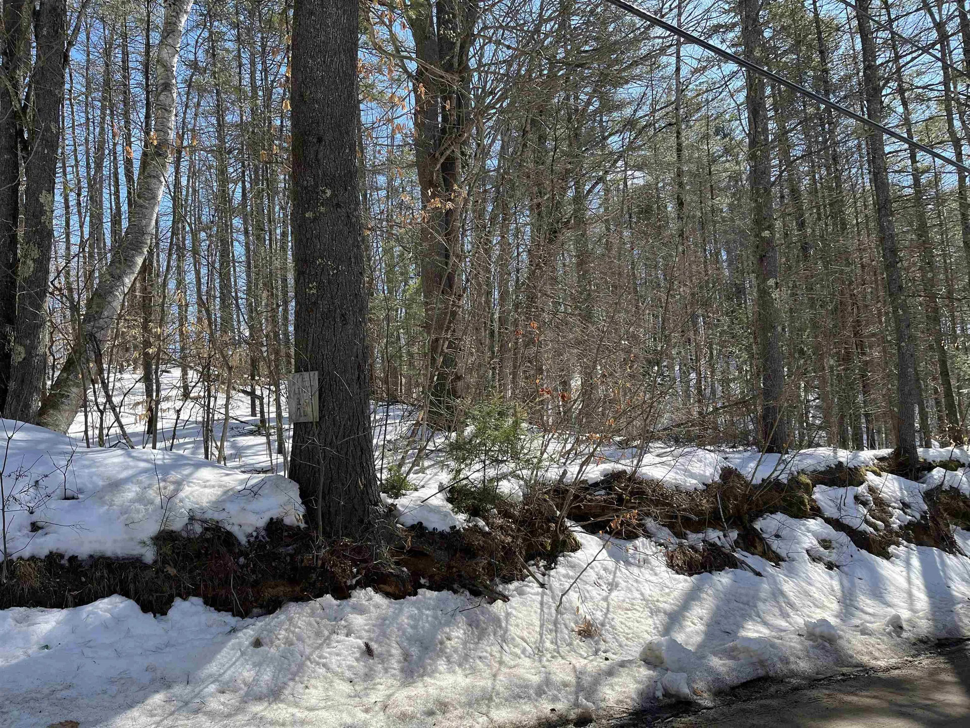 Lot 37 David Drive Wakefield NH 03872