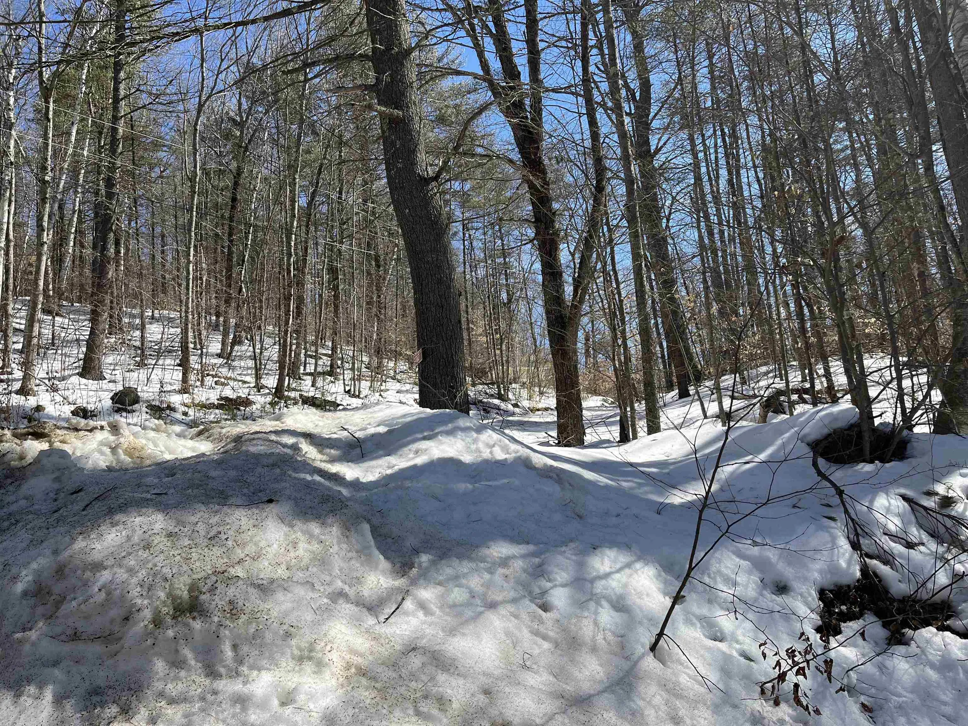 Lot 37 David Drive Wakefield NH 03872