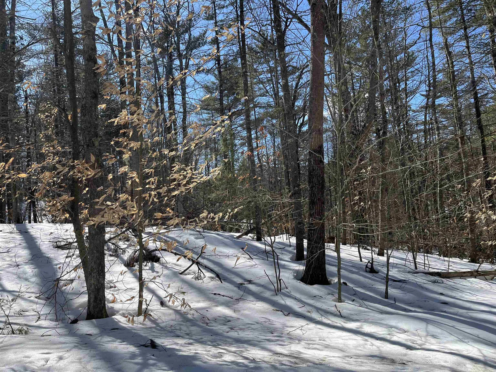 Lot 37 David Drive Wakefield NH 03872