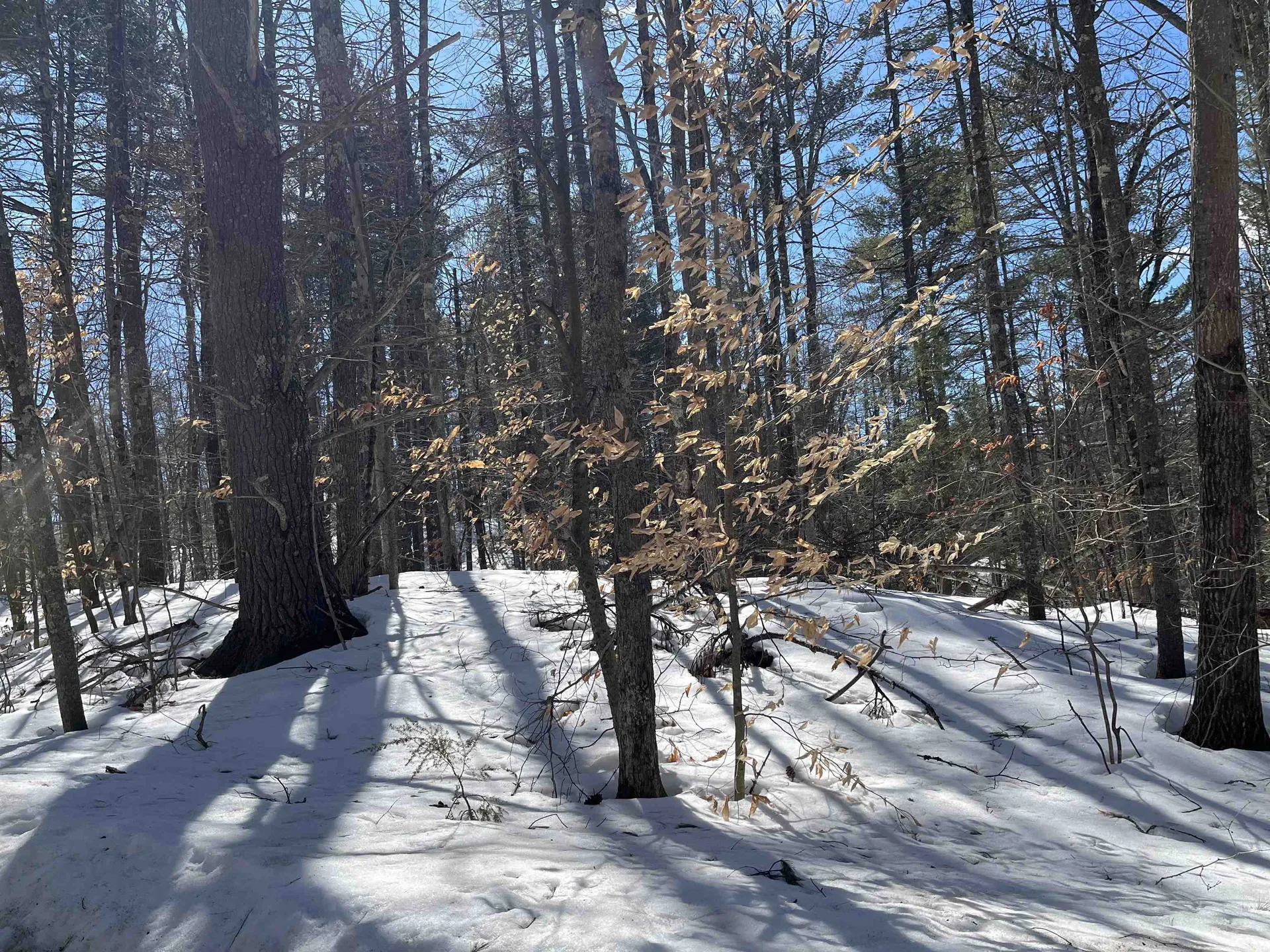 Lot 37 David Drive Wakefield NH 03872