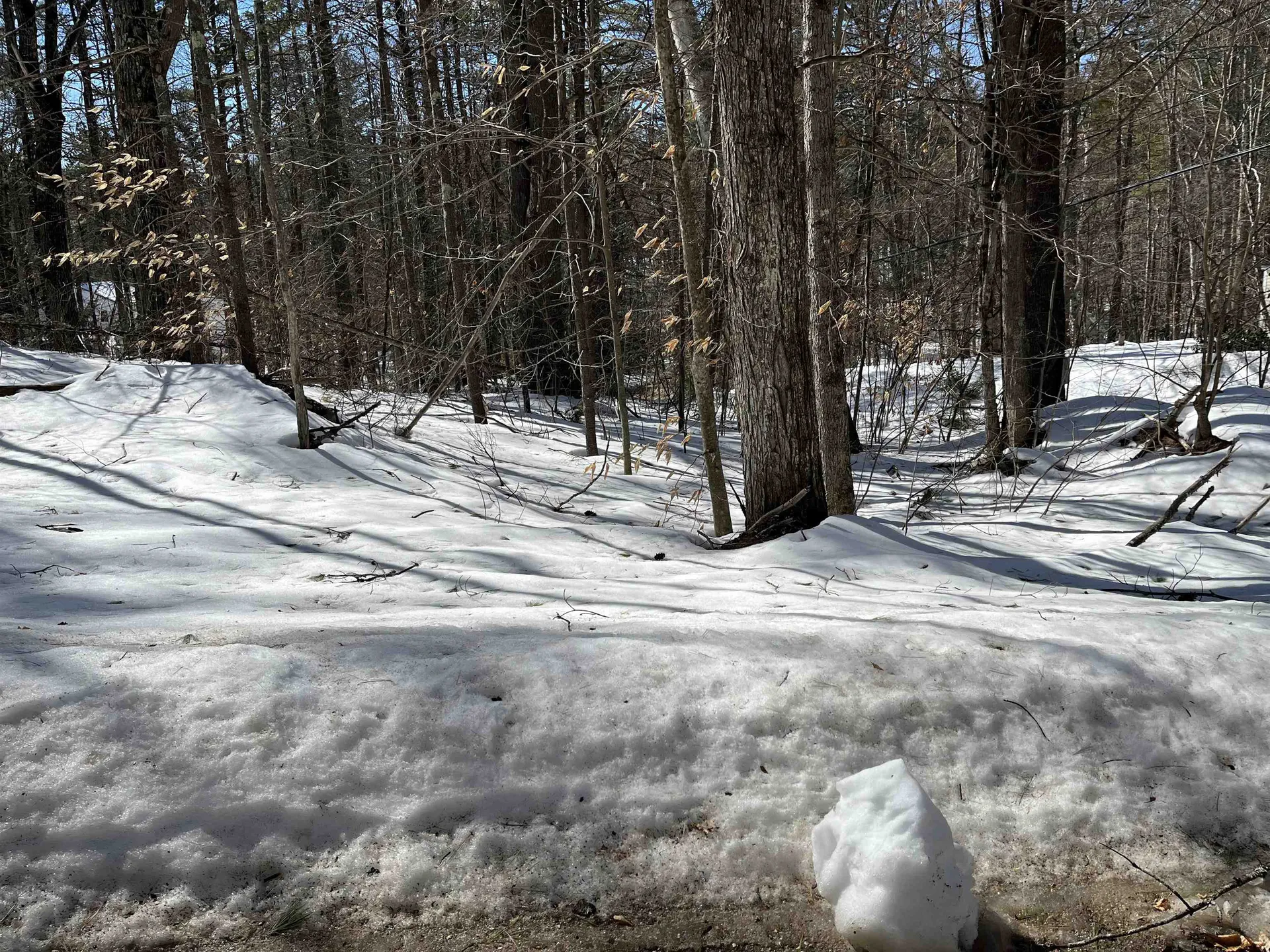 Lot 37 David Drive Wakefield NH 03872