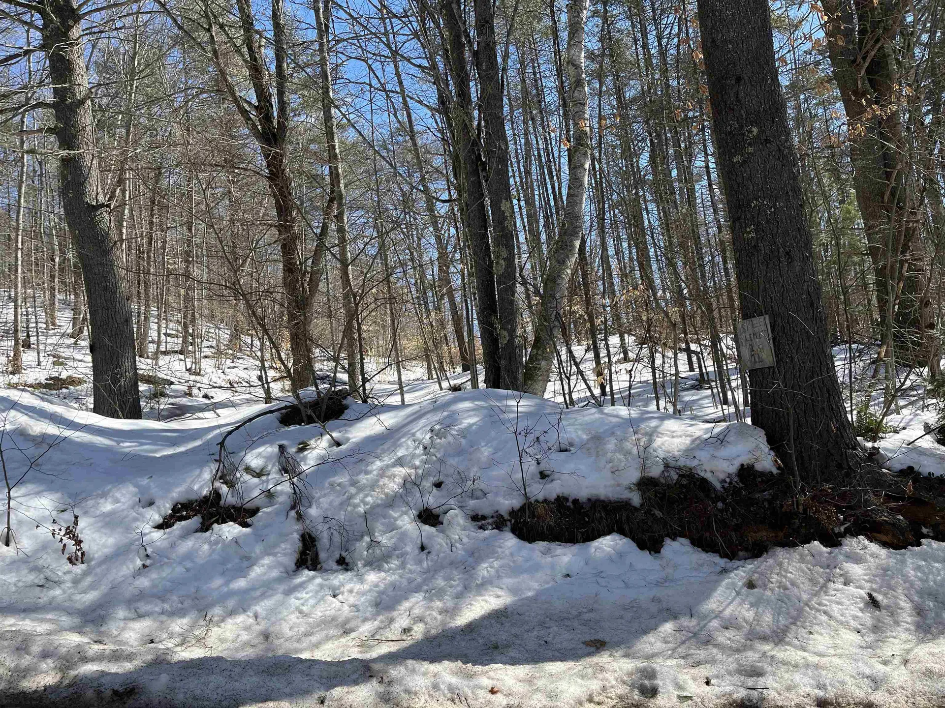 Lot 37 David Drive Wakefield NH 03872