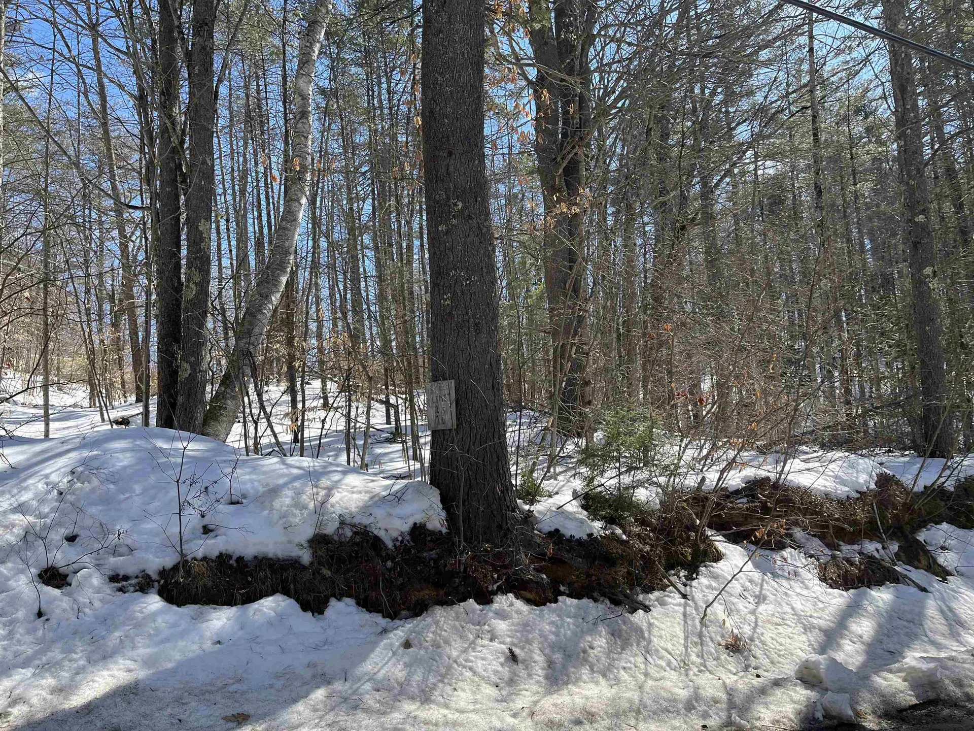 Lot 37 David Drive Wakefield NH 03872