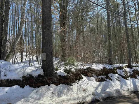 Lot 37 David Drive Wakefield NH 03872