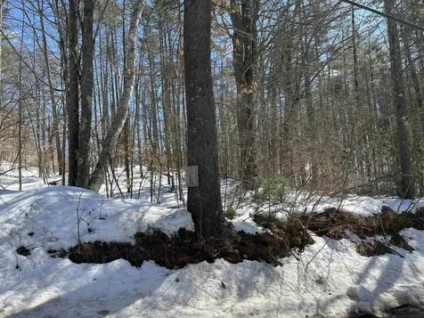 Lot 37 David Drive Wakefield NH 03872