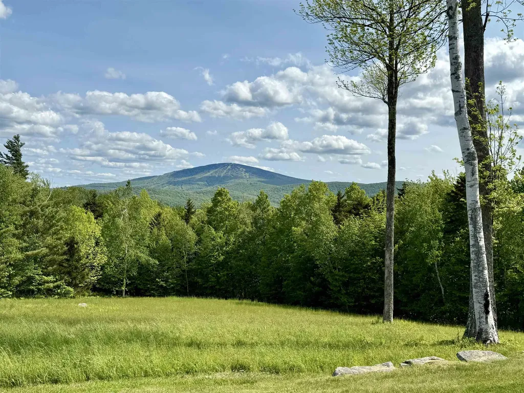 19 Old Town Road Winhall VT 05340