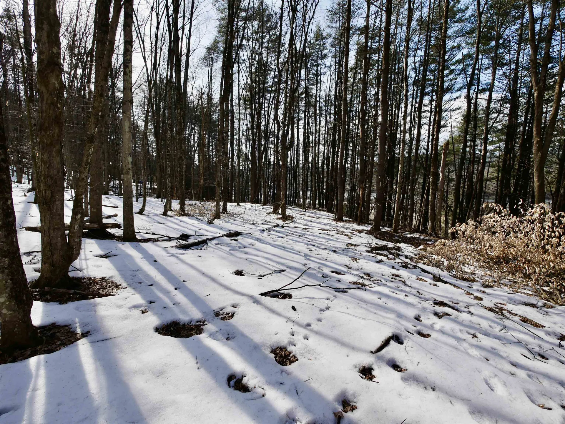 202 River Road Lyme NH 03768