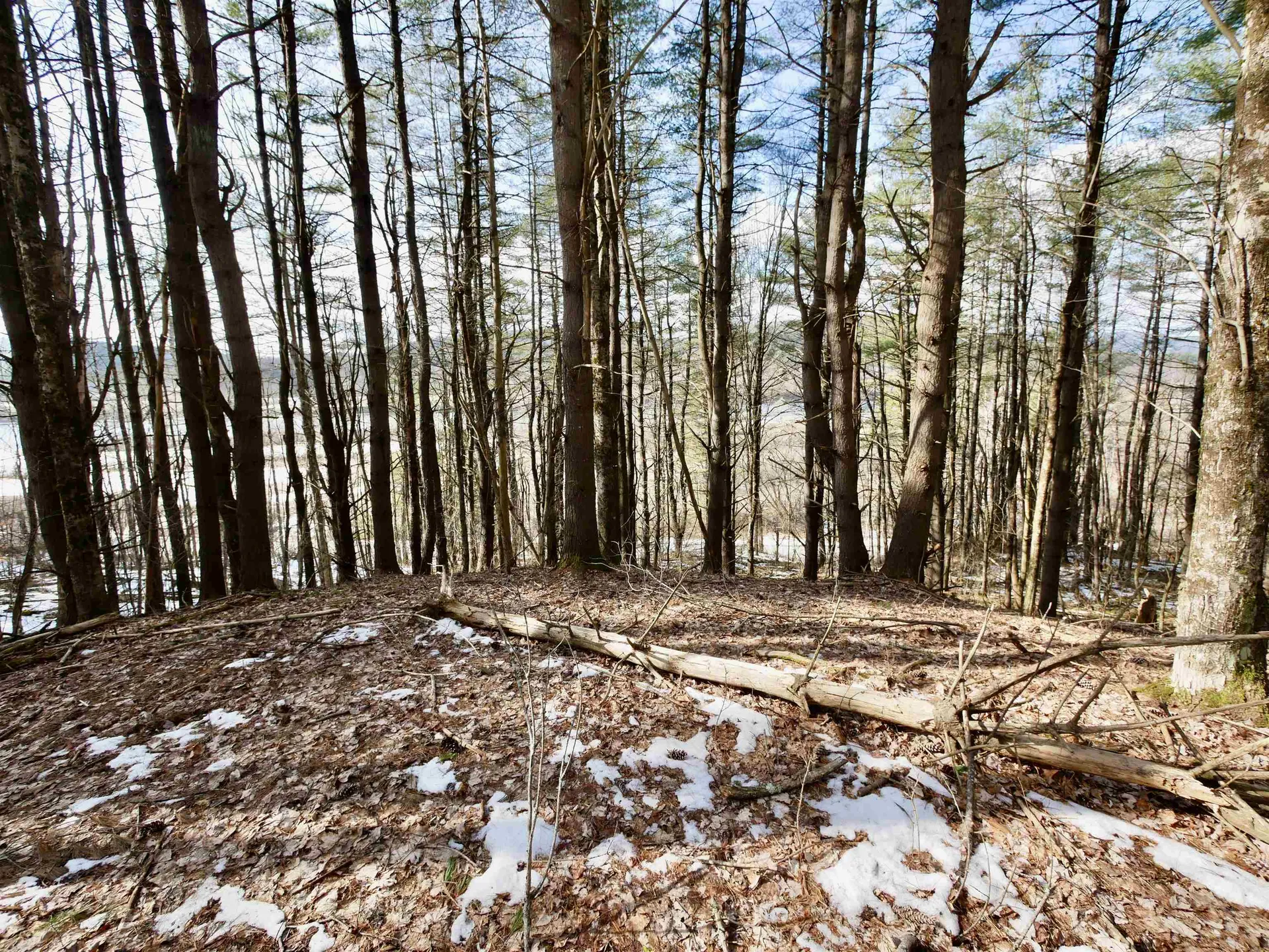 202 River Road Lyme NH 03768