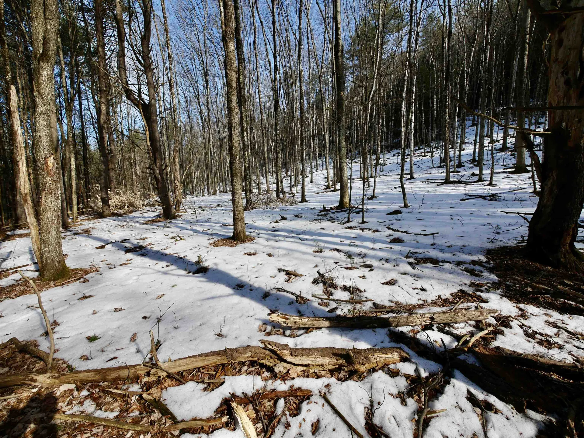 202 River Road Lyme NH 03768