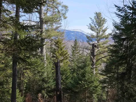 592 Wells Road Franconia NH 03580