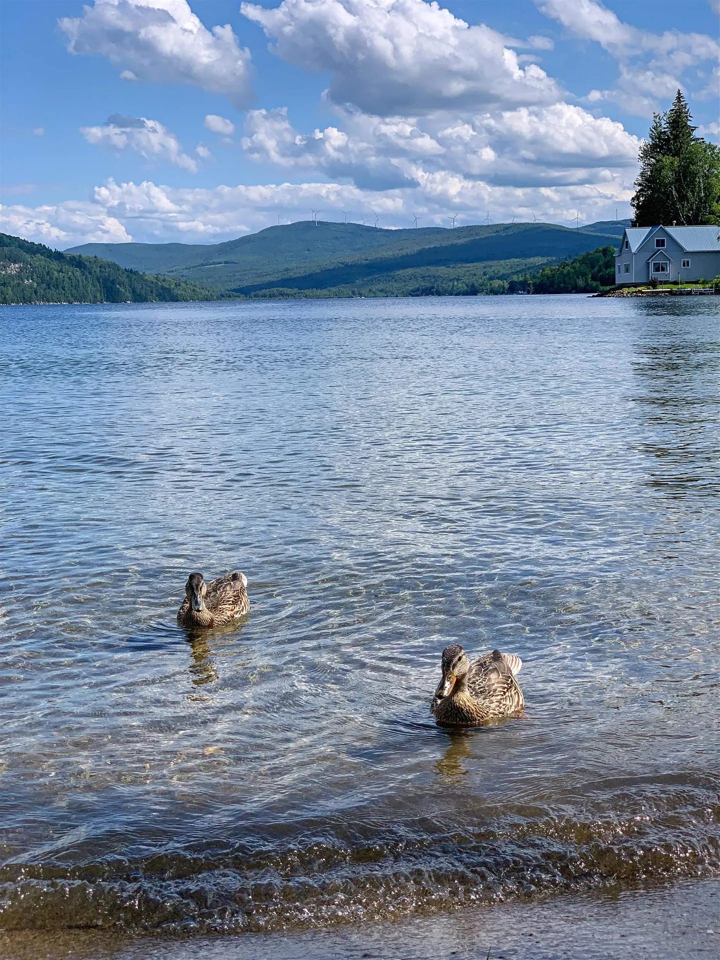 105 Bellwater Avenue Barton VT 05822