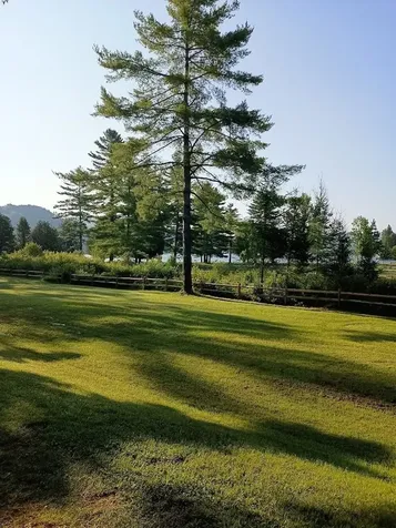 105 Bellwater Avenue Barton VT 05822
