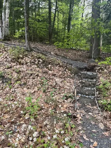 1 N Ridge Road Rockingham VT 05101