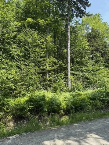 00 Loon Circle Londonderry VT 05155