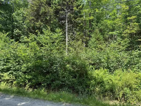 00 Loon Circle Londonderry VT 05155
