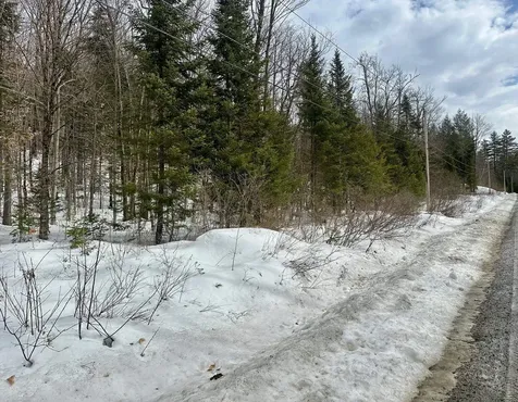 00 Loon Circle Londonderry VT 05155