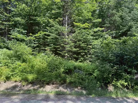 00 Loon Circle Londonderry VT 05155