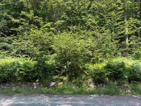 00 Loon Circle Londonderry VT 05155