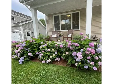 51 Staniford Farms Road Burlington VT 05408